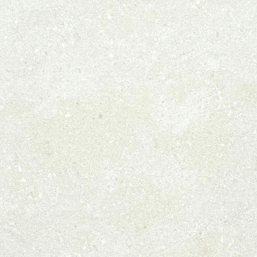 d26